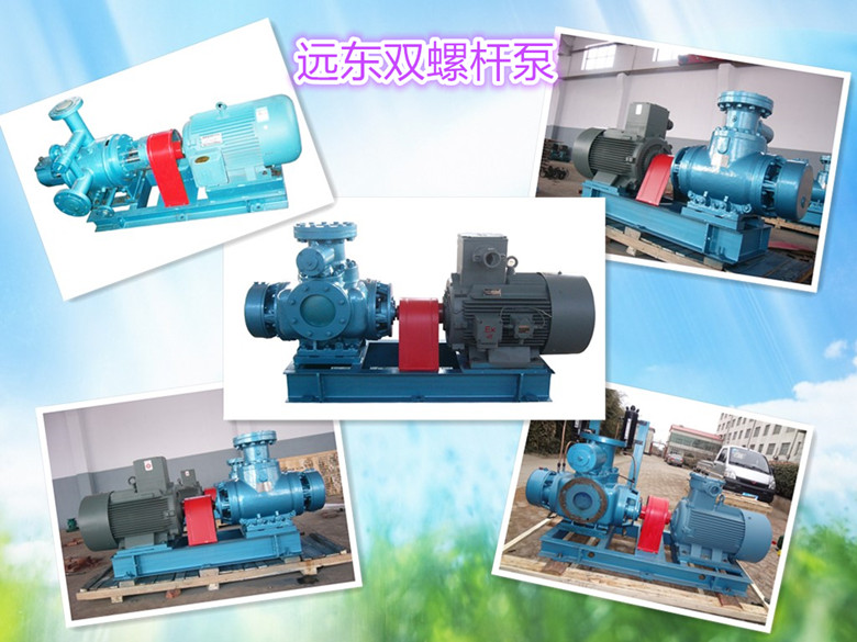 遠東雙螺(luó)杆泵展示(shi)