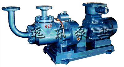 加氣站專用雙(shuāng)螺杆LPG抽吸泵-芜湖韦纳计算机设备集团(AI智能站)